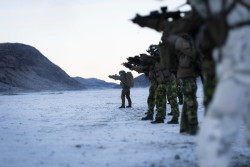 La OTAN re&uacute;ne a fuerzas de Suecia y Dinamarca en Groenlandia en el primer ejercicio de `Centinela del &Aacute;rtico`