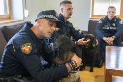 La Unidad Canina de la Polic&iacute;a de Torrelavega logra el oro en los Juegos Europeos de Polic&iacute;as y Bomberos