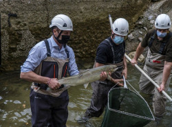 La zona salmonera de pesca de la cuenca del Nansa se ampliar&aacute; en 2022