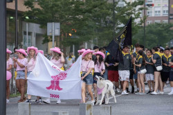Las Fiestas de San Juan de Malia&ntilde;o alcanzan un r&eacute;cord de participaci&oacute;n con m&aacute;s de 50 pe&ntilde;as y cerca de 2.000 pe&ntilde;istas