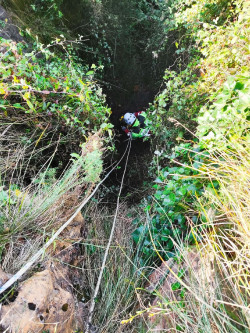  Los bomberos rescatan a un perro que cay&oacute; en una sima de una mina en Cab&aacute;rceno