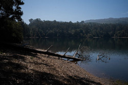 Los embalses del Cant&aacute;brico est&aacute;n por encima del 60% de su capacidad