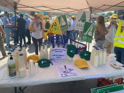 Los ganaderos regalan leche frente a Carrefour en protesta por los precios y la "cr&iacute;tica" situaci&oacute;n del sector