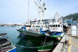 Los pescadores c&aacute;ntabros urgen "certezas" para la costera del verdel: "No sabemos ni cu&aacute;nto podemos pescar"
