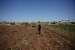 Los Veintisiete dan luz verde a ayudas para agricultores por el alza del precio de los fertilizantes