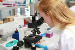 Ma&ntilde;ana el Foro de Medicina del Idival abordar&aacute; desde distintas disciplinas los retos que plantea la medicina personalizada y el tratamiento individualizado