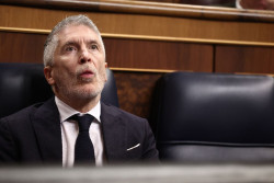 Marlaska, sobre la querella por agresi&oacute;n sexual del DAO: "No sab&iacute;amos nada y, ante la gravedad, se pidi&oacute; la renuncia"