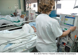 M&aacute;s de 600 c&aacute;ntabros tienen enfermedad renal y precisan di&aacute;lisis o trasplante