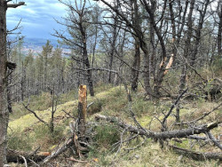  Muere un hombre de 79 a&ntilde;os al caer por una ladera del monte Dobra