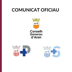 Muere una persona por un alud en el Barranc de Laveja en la Val d`Aran (Lleida)