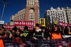 Plataforma No a la Caza convoca este domingo concentraciones en m&aacute;s de 40 ciudades espa&ntilde;olas, entre ellas Santander