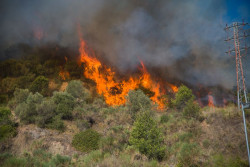 Proponen impulsar la gesti&oacute;n de montes con mejoras fiscales y ayuda de empresas para luchar contra el fuego