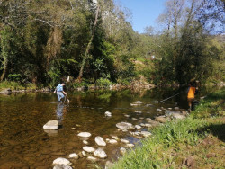 Red Cambera busca voluntarios para estudiar y conservar los r&iacute;os de Cantabria