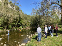 Red Cambera organiza este sábado una actividad de identificación de flora y fauna en Ramales