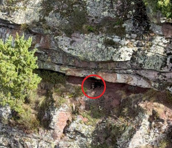  Rescatan en helic&oacute;ptero a un perro enriscado en una zona de dif&iacute;cil acceso en Lebe&ntilde;a