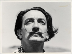 Roban un libro de valor incalculable y 210 kilos de peso con la cubierta de Salvador Dal&iacute; de un museo de Francia