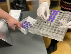  Salud P&uacute;blica descarta un fallo en la cadena de fr&iacute;o de las vacunas de la residencia Quijas, con 16 casos