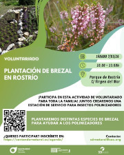 Santander Capital Natural organiza la plantaci&oacute;n de un brezal en el Rostr&iacute;o