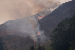  Sucesos.- Contin&uacute;a activo en Cantabria el incendio forestal de Los Tojos, adem&aacute;s de tres ya controlados
