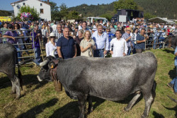 Susinos celebra el "rotundo éxito" de la Olimpiada del Tudanco, que reúne a miles de personas en Cabezón de la Sal