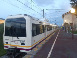 Suspendida la circulaci&oacute;n de trenes entre San Pedro de Rudag&uuml;era y Puente San Miguel por la ca&iacute;da de un &aacute;rbol