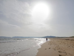  Tama registra 40,9 grados, la temperatura m&aacute;xima de Cantabria este domingo