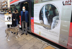 Torrelavega lanza una campa&ntilde;a de concienciaci&oacute;n sobre el maltrato y abandono animal