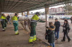 Torrelavega organiza una nueva Campaña del Árbol, que repartirá ejemplares en febrero