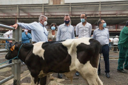  Torrelavega recupera la feria ganadera con normalidad y el deseo de no volver a cerrar por el Covid