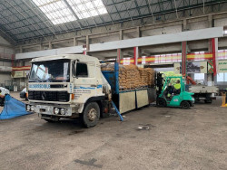  Torrelavega reparte 20.000 kilos de patatas entre 800 familias del municipio