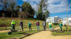 Torrelavega tiene completada al 80% la plantaci&oacute;n de arbolado y vegetaci&oacute;n en el parque Miravalles