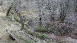 Trasladada a Le&oacute;n a la osezna recogida en agosto en Somiedo (Asturias)