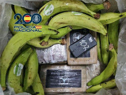 Tres detenidos en el puerto de Algeciras por introducir 240 kilos de coca&iacute;na en cajas de pl&aacute;tanos