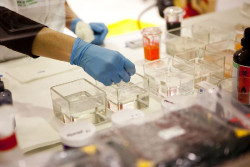 Un experto advierte de que la UE se está quedando "atrás" en investigación clínica