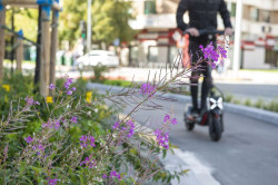  Un patinetero agrede en Santander a un polic&iacute;a que intentaba identificarle