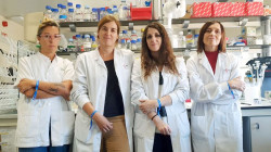 Un proyecto avanza en la cura para la diabetes tipo 1: genera c&eacute;lulas productoras de insulina a partir de piel humana