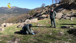 Un total de 62 detenidos y 442 infracciones por caza furtiva en Cantabria y otras cinco provincias