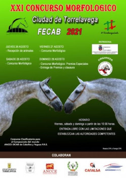Un total de 82 caballos de 40 ganader&iacute;as participan este fin de semana en el Concurso Morfol&oacute;gico Ciudad de Torrelavega
