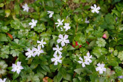 Un total de cinco empresas espa&ntilde;olas, entre las 100 empresas m&aacute;s sostenibles del mundo seg&uacute;n Corporate Knights