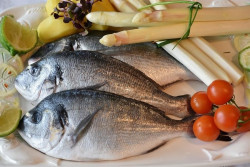 Una estudio evidencia que comer pescado, marisco y verduras reduce el riesgo cardiaco relacionado con la hipertensión
