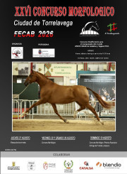 Unos 125 caballos de 64 ganader&iacute;as participar&aacute;n desde hoy en el Concurso Morfol&oacute;gico Ciudad de Torrelavega FECAB