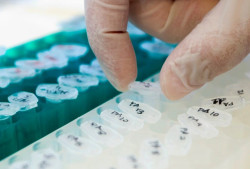 220 millones de euros para Salud Digital 
