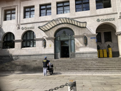 Accesibilidad, solidaridad, y bla,bla,bla