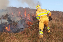 Activo un incendio forestal en una zona de arbolado en Roiz (Vald&aacute;liga)