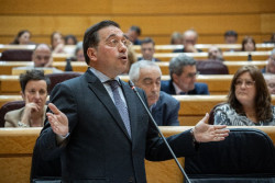 Albares, reprobado por el Senado a propuesta del PP y con apoyo de Vox: "No est&aacute; a la altura"