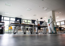 Alemania 57 muertos en 24 horas 