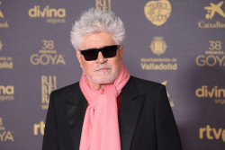 Almod&oacute;var no dice si devuelve el dinero que recibe en subvenciones