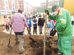 Alumnos del Colegio Cervantes de Torrelavega cambian el hormigón de su patio por árboles y césped