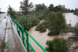 Andaluc&iacute;a mantiene 27 carreteras con cortes o cerradas al tr&aacute;fico por los efectos de la DANA, 17 en C&aacute;diz
