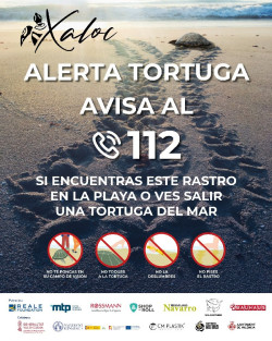 Arranca la campa&ntilde;a para concienciar sobre la presencia de tortugas marinas en las costas valencianas